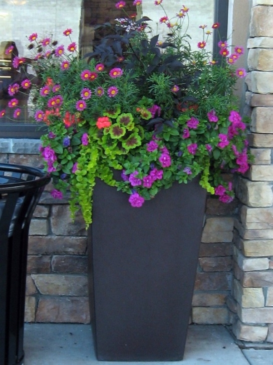 Best Plants For Container Gardening Tundra Monkey Gardening: Container Garden Design Photo 182