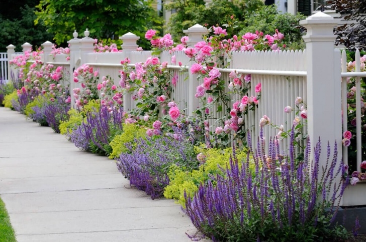 Best Plants For Front Yard 101 Front Yard Landscaping Ideas (Photos) Picture 139