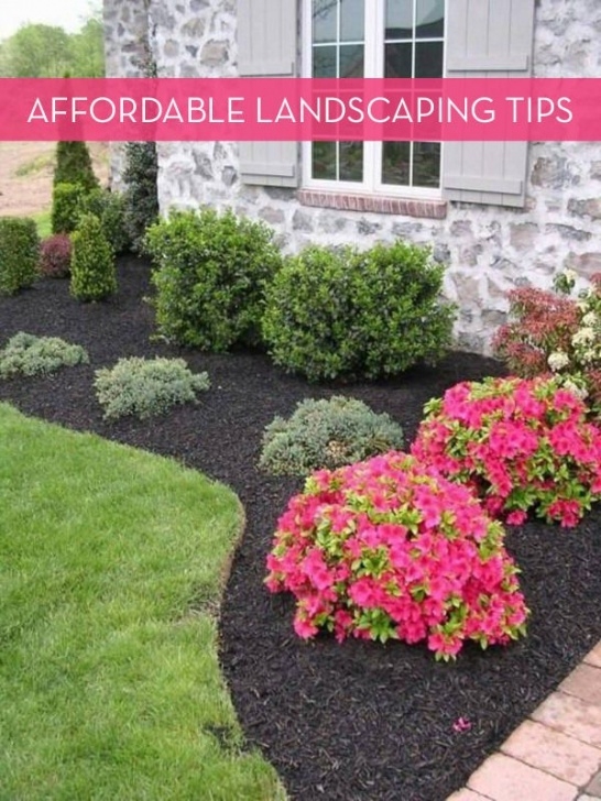 Best Plants For Front Yard 13 Tips For Landscaping On A Budget | Outdoor Landscaping Picture 194