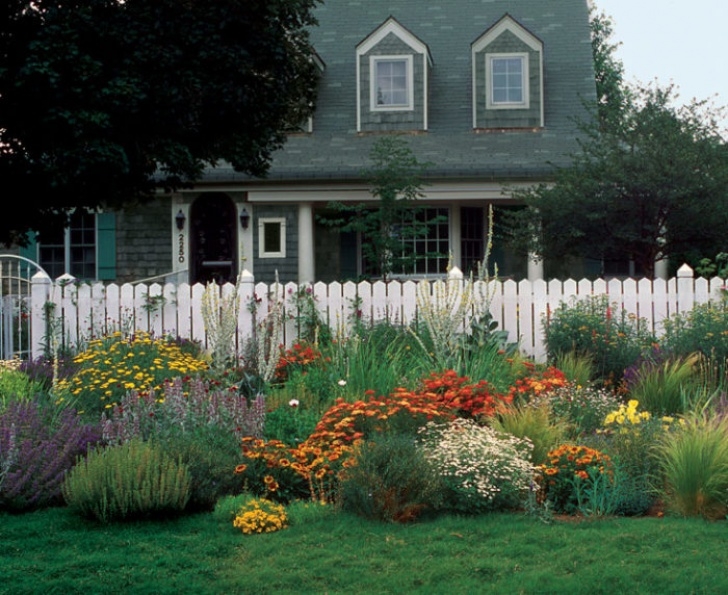 Best Plants For Front Yard A Front-Yard Garden In No Time - Finegardening Photo 994