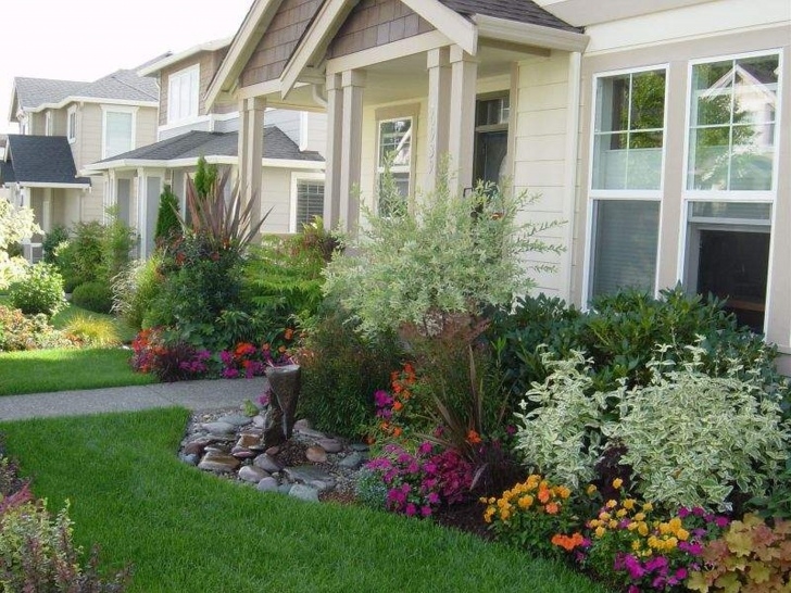 Best Plants For Front Yard Garden And Patio, Various Plants And Colorful Flower Picture 232