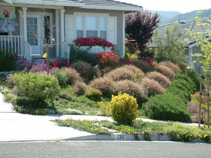Best Plants For Front Yard Shrub Filled Front Yard Photo 069