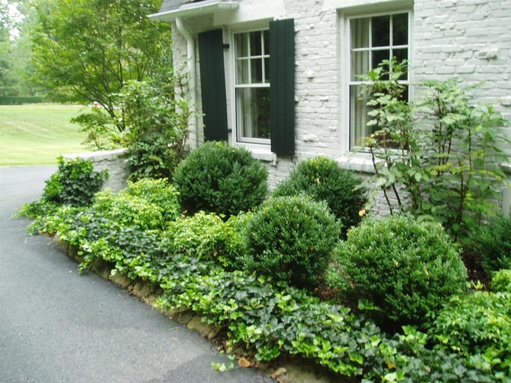 Best Plants For Front Yard This Looks Nice And Seems Way Low Maintenance. Excellent Photo 107