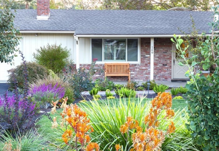 Best Plants For Front Yard You’ll Want To Steal These Amazing Diy Ideas For Your Photo 822