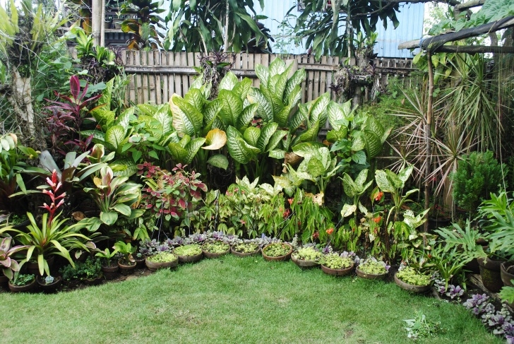 Best Plants For Home Garden Bukidnon My Home | Philippine Mountain Life At Its Best Photo 788