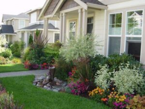 Best Plants For Home Garden Garden And Patio, Various Plants And Colorful Flower Photo 623