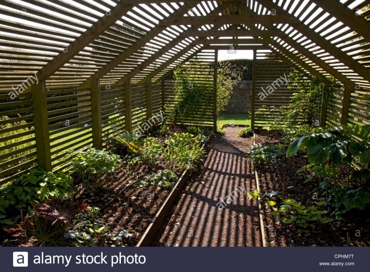 Best Plants For Home Garden Wooden Slated Plant Shade House Garden, England Stock Image 320
