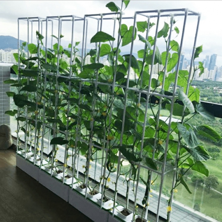 Best Plants For Hydroponics 1.5M 5V Pvc Grow Kit Hydroponic System Water Planting Grow Photo 792