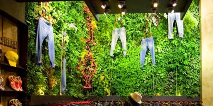 Best Plants For Hydroponics Ihidrousa - "Your One Stop Grow Shop": The Essentials Of Picture 665