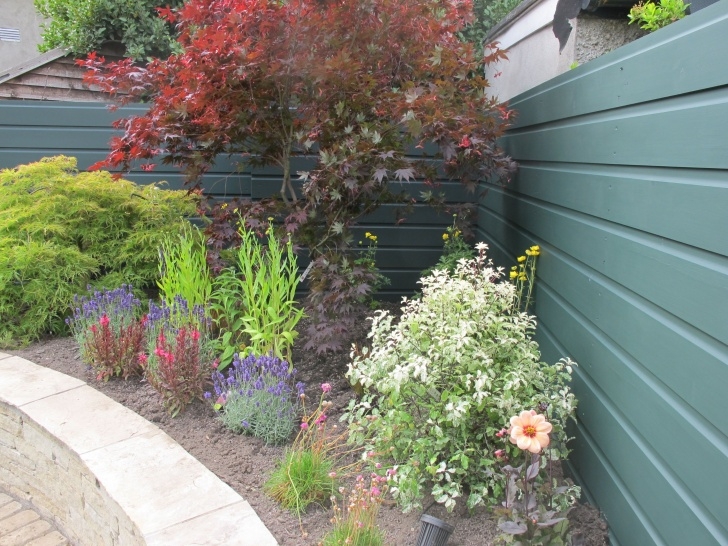 Best Plants For Raised Beds Colourful Planted Raised Bed | Family Garden, Garden Design Image 031