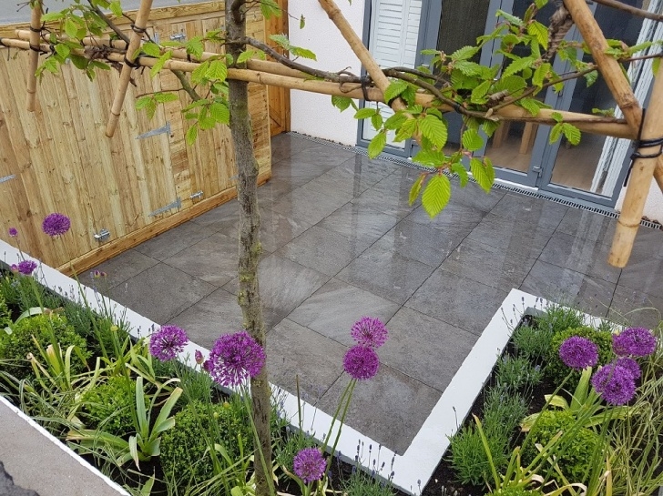 Best Plants For Raised Beds Contemporary Courtyard Garden - Porcelain Patio, Rendered Photo 821