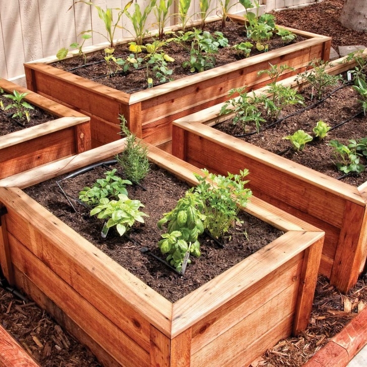 Best Plants For Raised Beds Dig Raised Bed Garden Drip Irrigation Kit-Ml50 | Vegetable Image 873