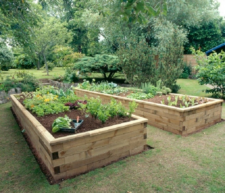 Best Plants For Raised Beds Raised Beds / Made To Measure | Raised Beds, How To Make Image 792