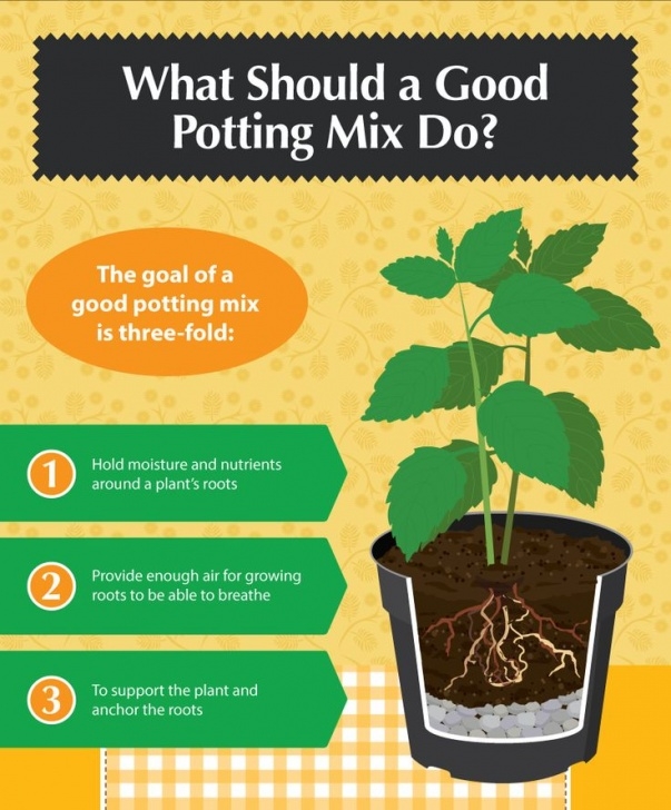 Best Potting Soil For Vegetables 328 Best Gardening Images On Pinterest | Conservatory Photo 724