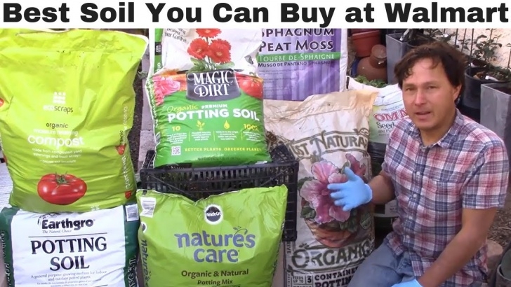 Best Potting Soil For Vegetables Best Vegetable Garden Soil You Can Buy At Walmart + What Photo 484