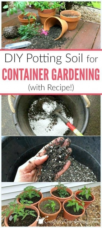 Best Potting Soil For Vegetables Choosing The Best Potting Soil Mix For Container Gardening Picture 922