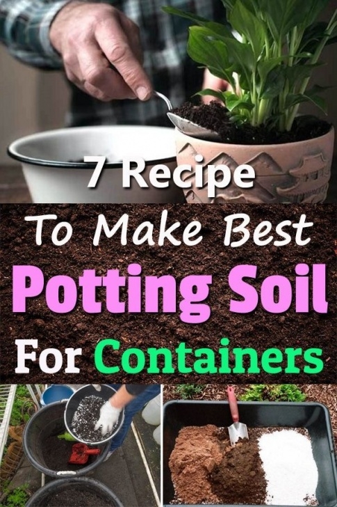 Best Potting Soil For Vegetables Homemade Potting Soil Recipes To Grow Everything In Picture 921