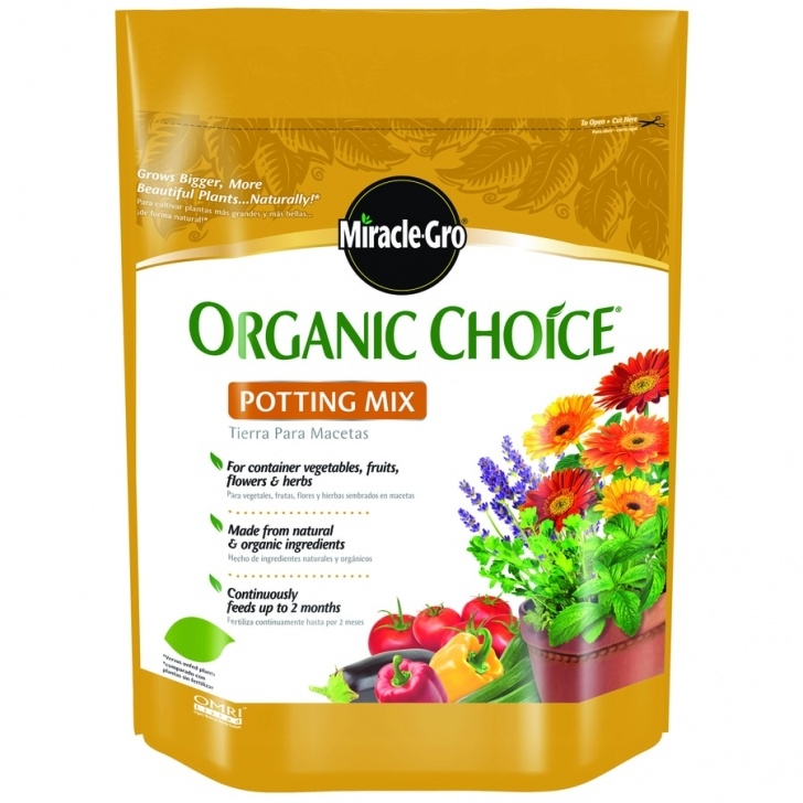 Best Potting Soil For Vegetables Miracle-Gro 8-Quart Flower, Vegetable And Herb Soil At Photo 768