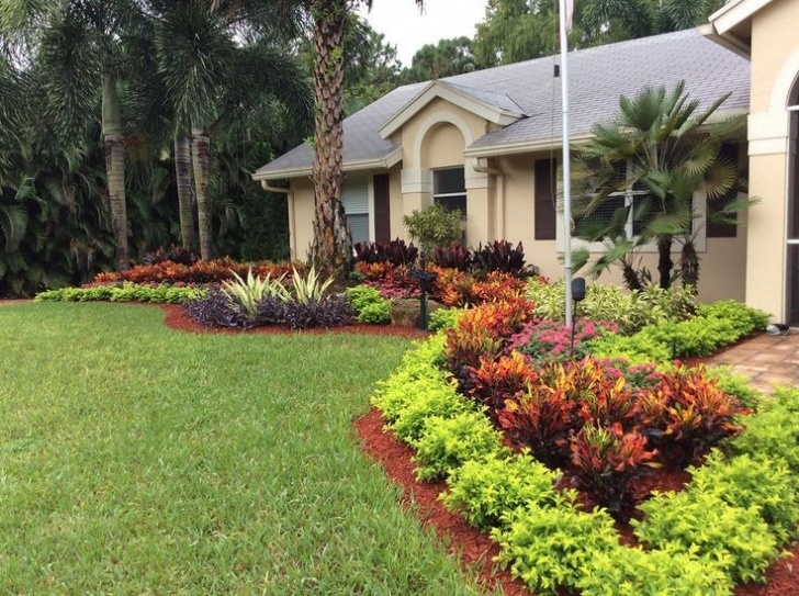 Best Small Trees For Front Yard Image Result For Florida Low Maintenance Landscape Picture 448