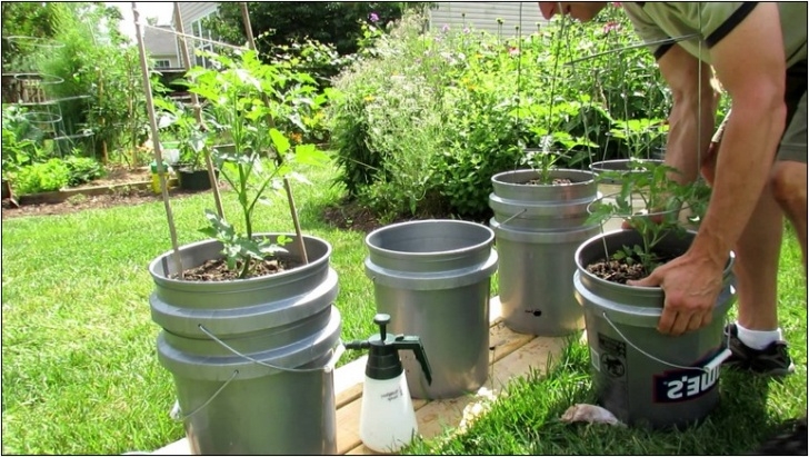 Best Soil For Container Vegetables Best Container Garden Soil Mix | Home And Garden Designs Photo 174