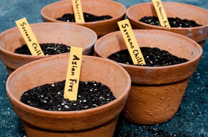 Best Soil For Container Vegetables Choose The Best Soil For Your Container Garden • Brown Picture 263