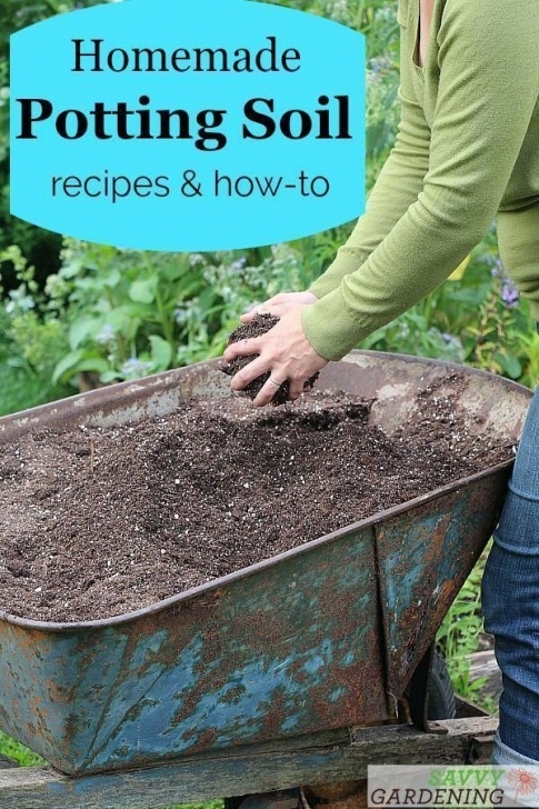 Best Soil For Container Vegetables Container Gardening - Must-Know Facts For Successful Image 852