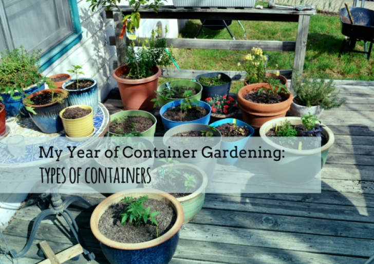 Best Soil For Container Vegetables My Year Of Container Gardening: Types Of Containers | The Photo 186