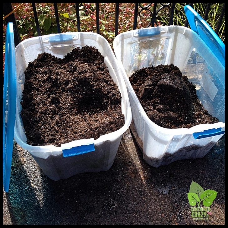 Best Soil For Container Vegetables Recycle Potting Mixes – A Quick Tip | Container Crazy Ct Image 877