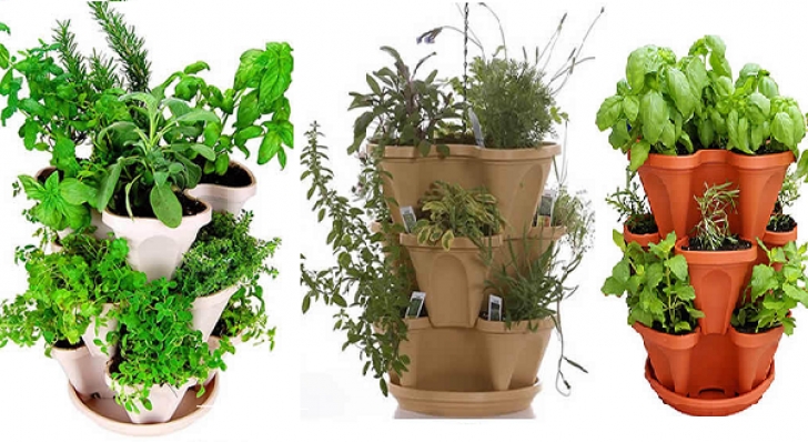 Best Soil For Indoor Herbs A Quick Guide To Start An Organic Indoor Herb Garden Photo 278