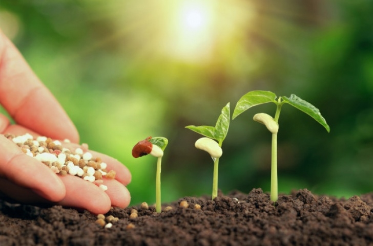 Best Soil For Planting Agricultural Hand Nurturing Fertilizer Plant Growing Step Image 702