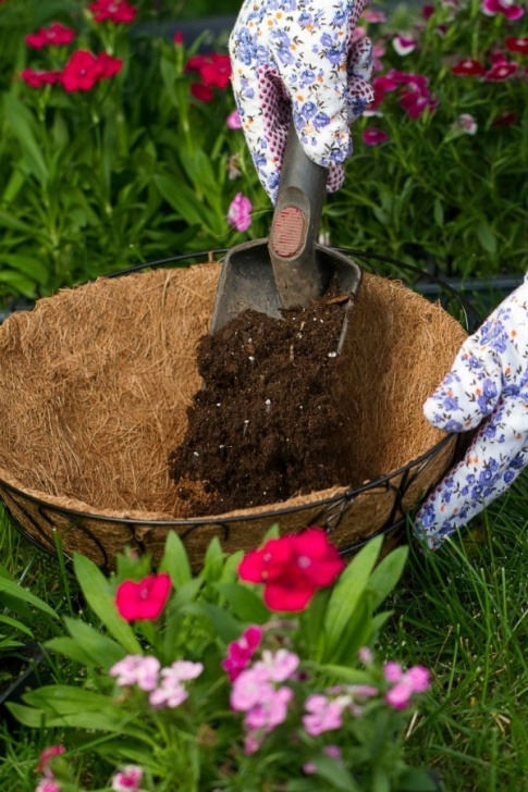 Best Soil For Plants In Pots Reusing Potting Soil | Thriftyfun Image 635