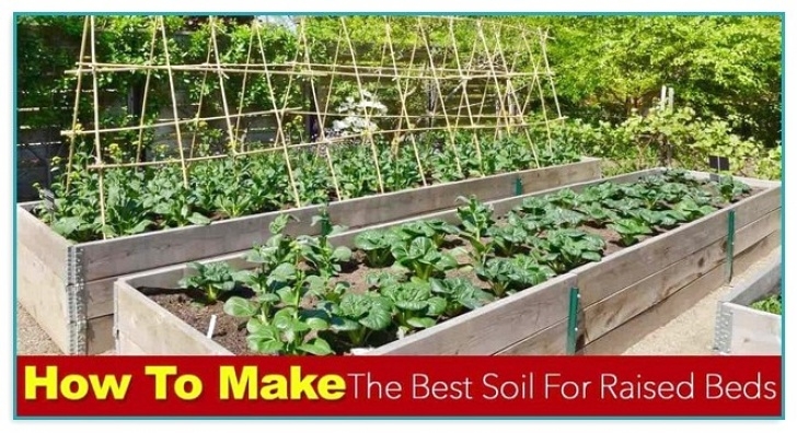 Best Soil For Raised Garden Beds Best Soil For Raised Garden Beds | Home Improvement Picture 206