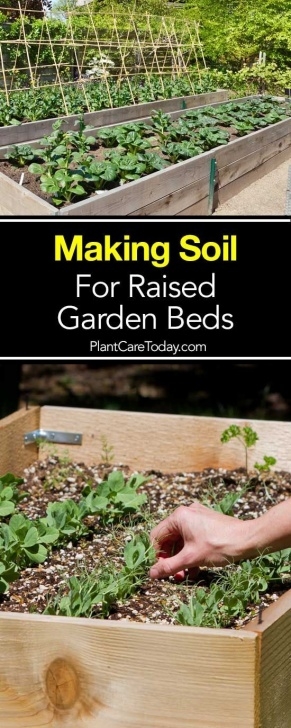 Best Soil For Raised Garden Beds Soil For Raised Beds: How To Make The Best Raised Bed Soil Image 996