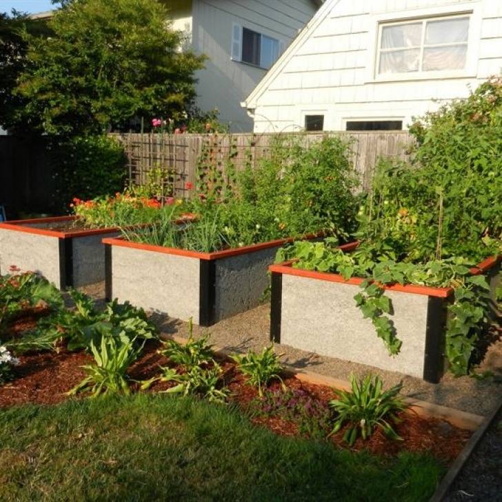 Best Soil For Raised Garden Beds Soil For Raised Garden Beds | Mother Earth News Picture 438