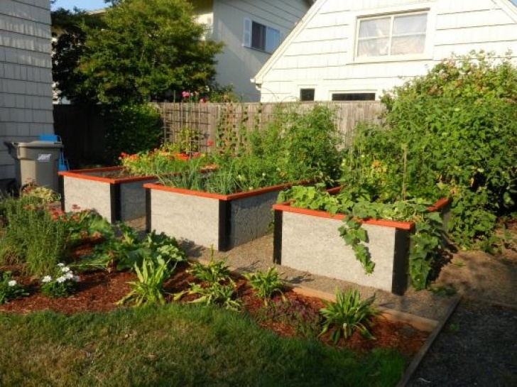 Best Soil For Raised Garden Beds Soil For Raised Garden Beds: What Do You Need To Know Image 890