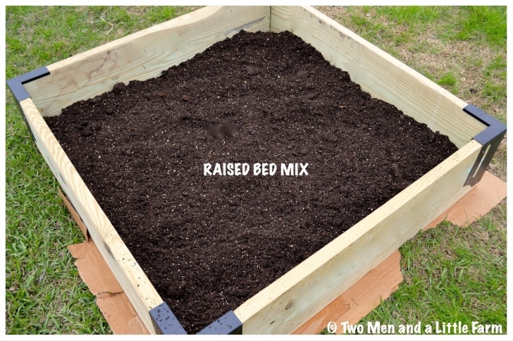 Best Soil For Raised Garden Beds Two Men And A Little Farm: Raised Bed Soil For Fruit Trees Image 317