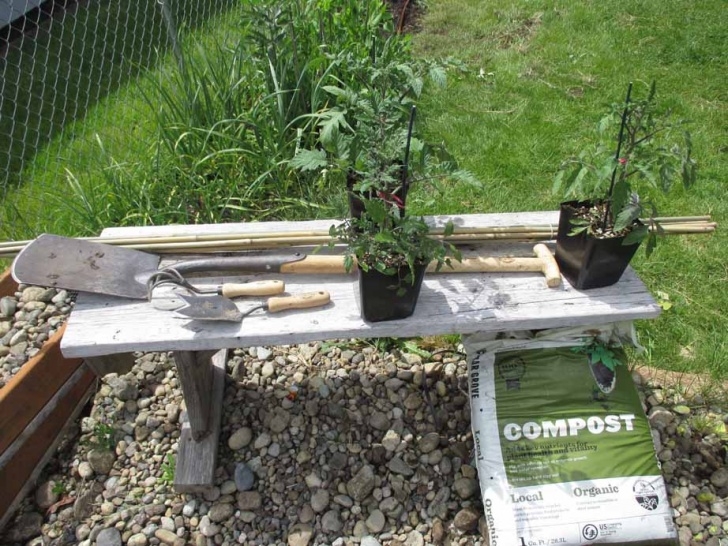 Best Soil For Tomatoes In Raised Beds Planting Indeterminate Tomatoes Vertically In A Raised Bed Picture 599