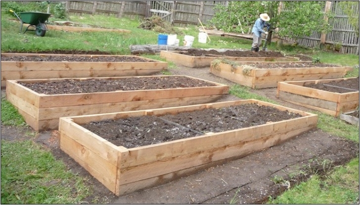 Best Soil For Tomatoes In Raised Beds Raised Garden Bed Depth For Tomatoes | Home And Garden Designs Photo 300