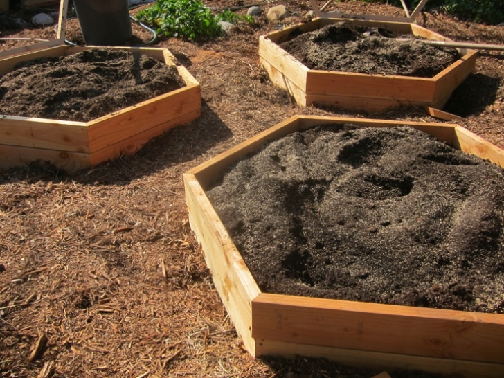 Best Soil For Vegetable Garden In Raised Bed Advantages And Disadvantages Of Raised Bed Vegetable Photo 227
