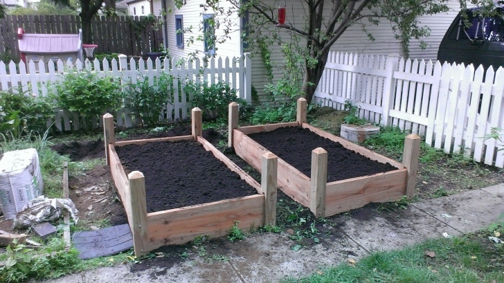 Best Soil For Vegetable Garden In Raised Bed Buy Raised Bed Vegetable Garden Plans Design Kit Materials Image 935