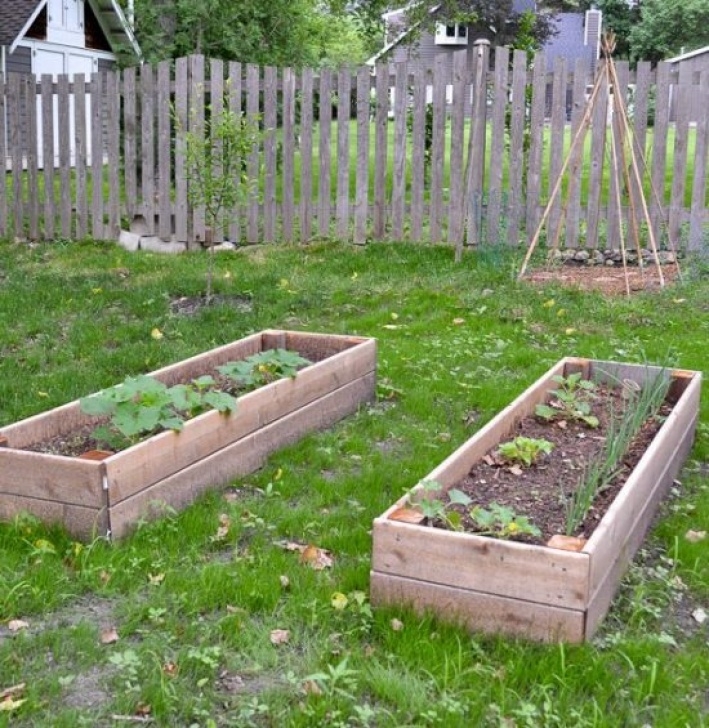 Best Soil For Vegetable Garden In Raised Bed Diy Raised Garden Bed (And An Easy Soil Mixture Blend To Picture 696