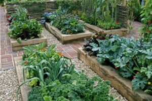 Best Soil For Vegetable Garden In Raised Bed How To Increase Your Vegetable Garden Yield (7 Steps) Photo 705 Best Soil For Vegetable Garden In Raised Bed How To Increase Your Vegetable Garden Yield (7 Steps) Photo 705