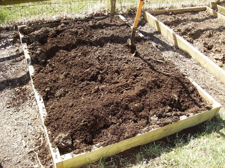 Best Soil For Vegetables Amending Your Raised Bed Vegetable Garden Soil (Yearly Picture 278