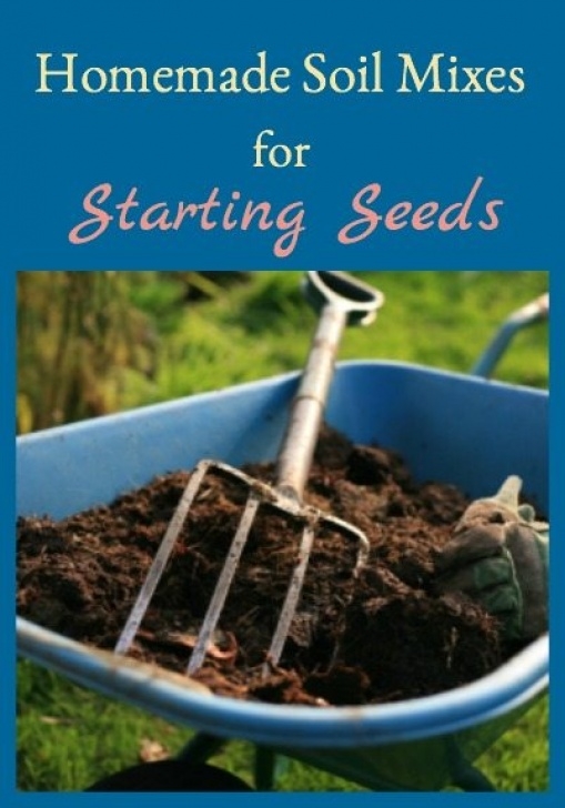 Best Soil For Vegetables Homemade Seed Starting Soil Mixes Photo 448
