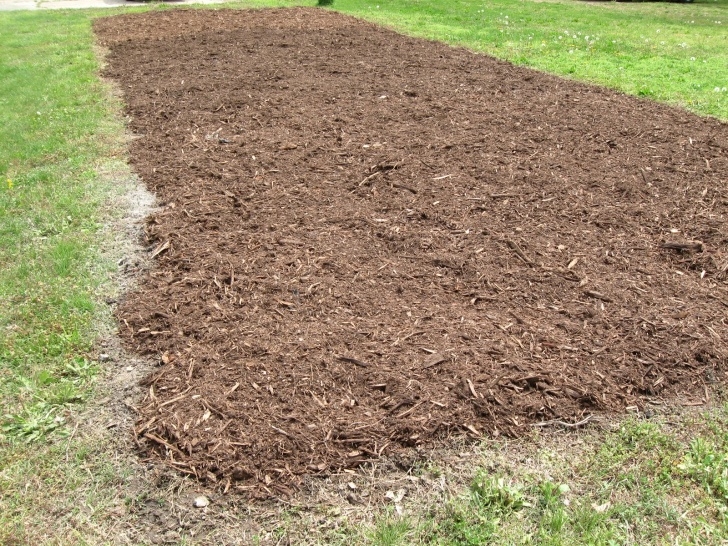Best Soil For Vegetables Kentucky Fried Garden: Garden Tilled, Go! And Preparing Picture 220