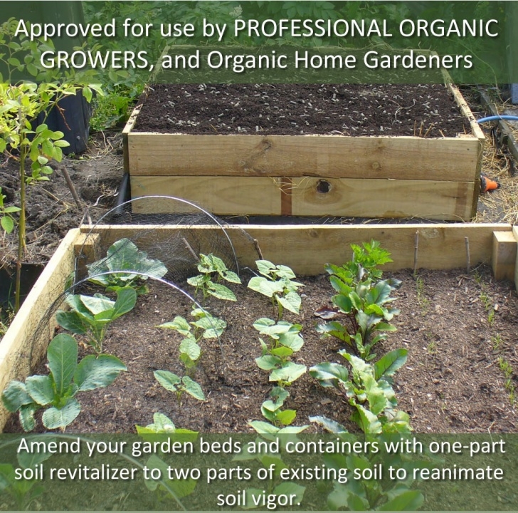 Best Soil For Vegetables Premium All-In-One Vegetable Soil Mix – Hopper Picture 430