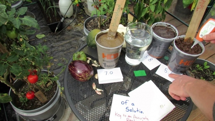 Best Soil For Vegetables What Is Vegetable Garden Soil Ph And How To Use A Digital Picture 716