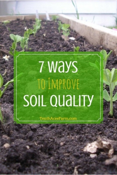 Best Topsoil For Vegetable Garden 7 Ways To Improve The Quality Of Your Soil | Soil Picture 667
