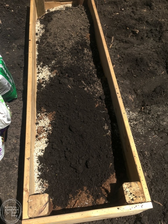 Best Topsoil For Vegetable Garden Best Soil Mixture For Raised Garden Beds Diy Raised Garden Photo 212