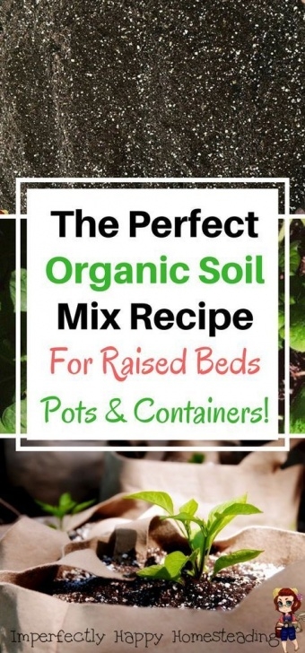 Best Topsoil For Vegetable Garden The Best Diy Soil Mix Recipe | Organic Soil, Organic Photo 789